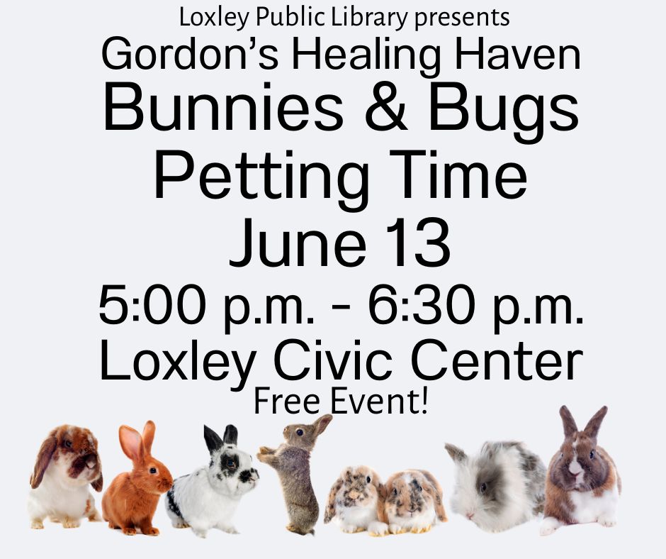 Bunnies & Bugs