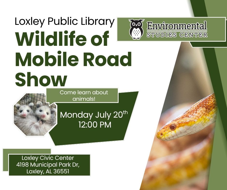 Wildlife Show Event